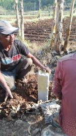 Pasang Patok Tanah Kas Bedoyo dimulai